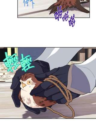 传令鸟公主殿下9话