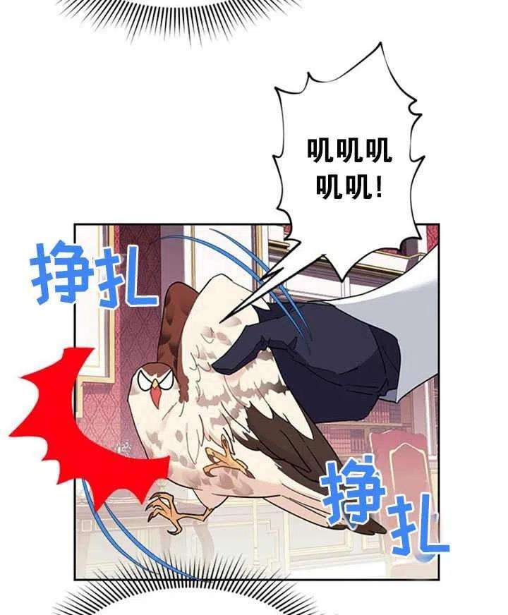 传令鸟公主殿下10话