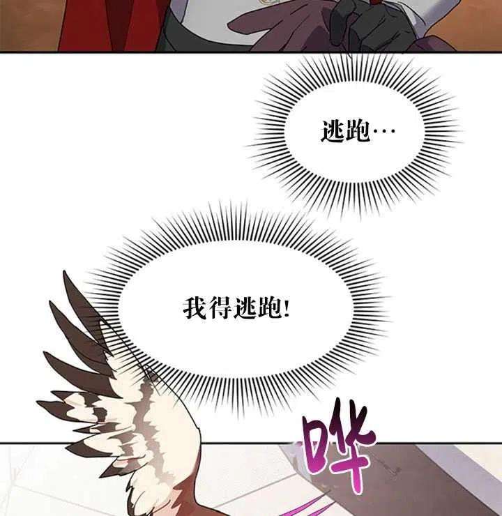 传令鸟公主殿下11话
