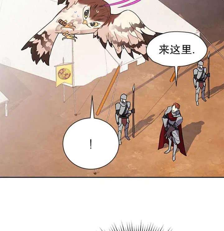 传令鸟公主殿下11话