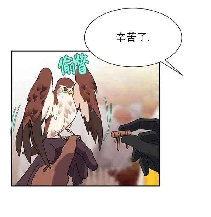 传令鸟公主殿下11话