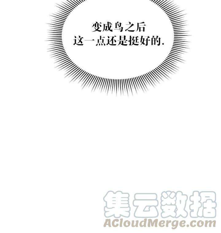 传令鸟公主殿下11话