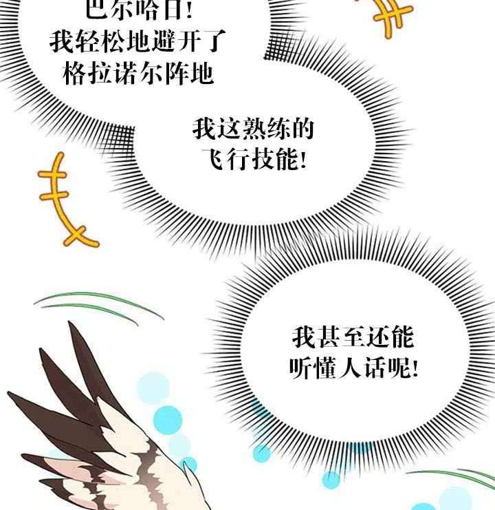 传令鸟公主殿下11话