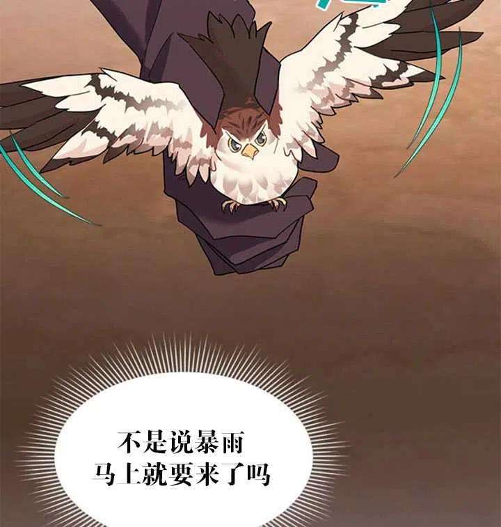 传令鸟公主殿下11话