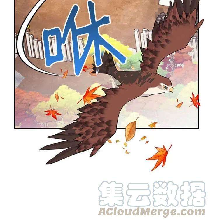 传令鸟公主殿下11话