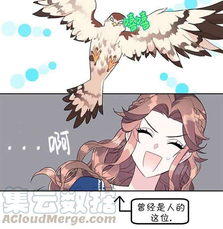 传令鸟公主殿下11话
