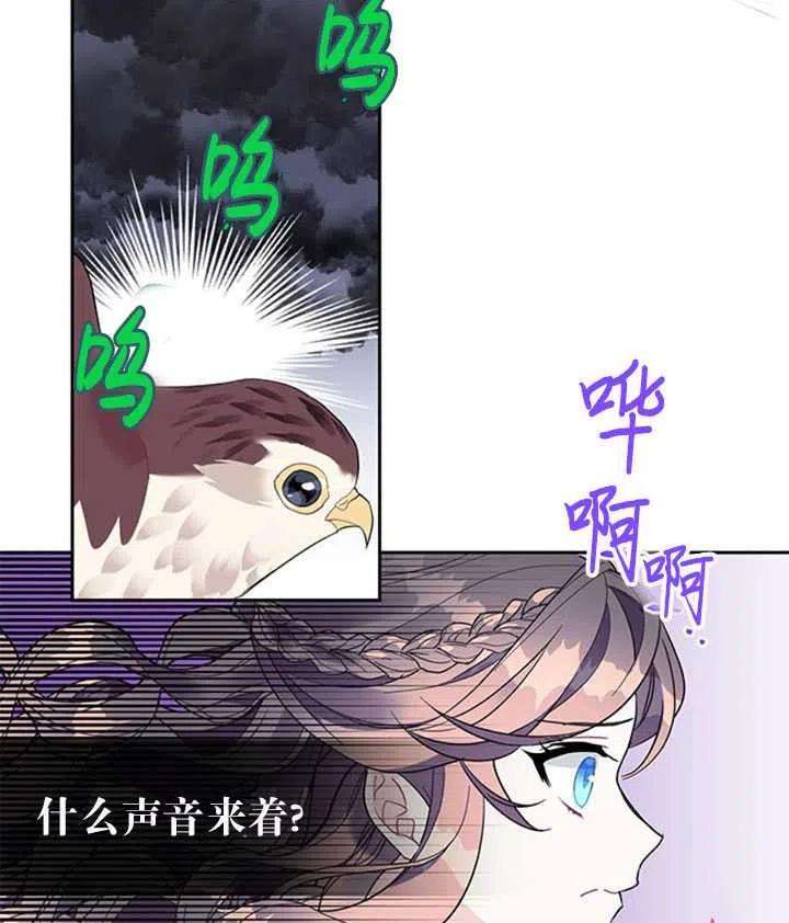传令鸟公主殿下11话