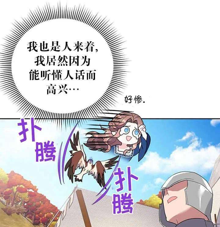 传令鸟公主殿下11话