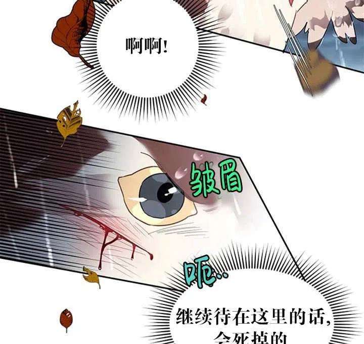 传令鸟公主殿下11话