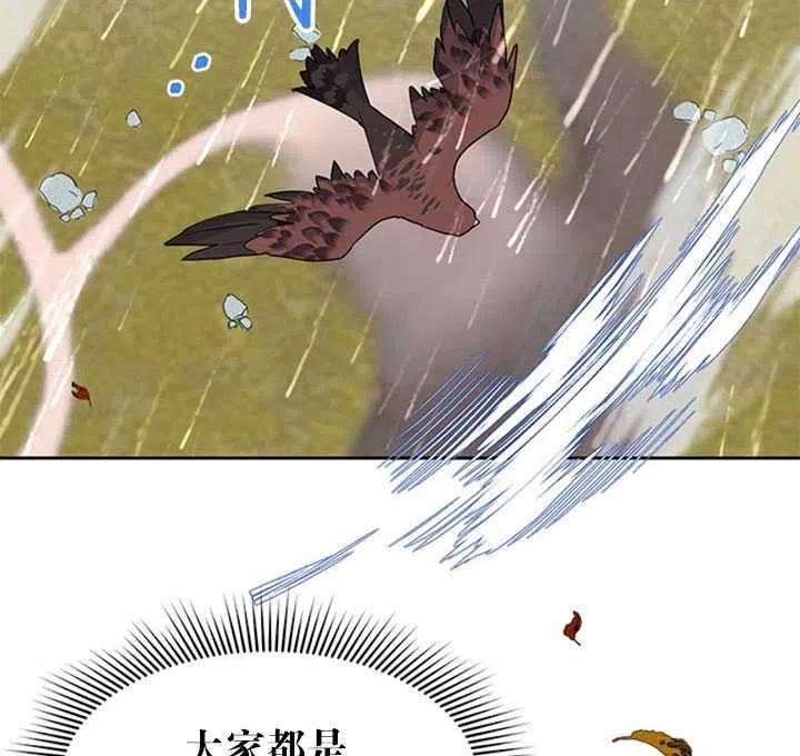 传令鸟公主殿下11话