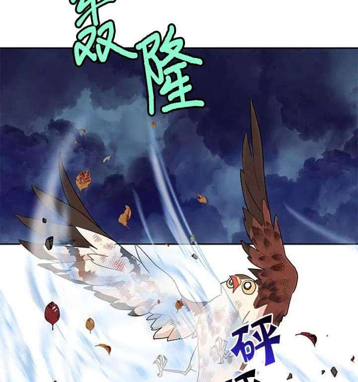 传令鸟公主殿下11话