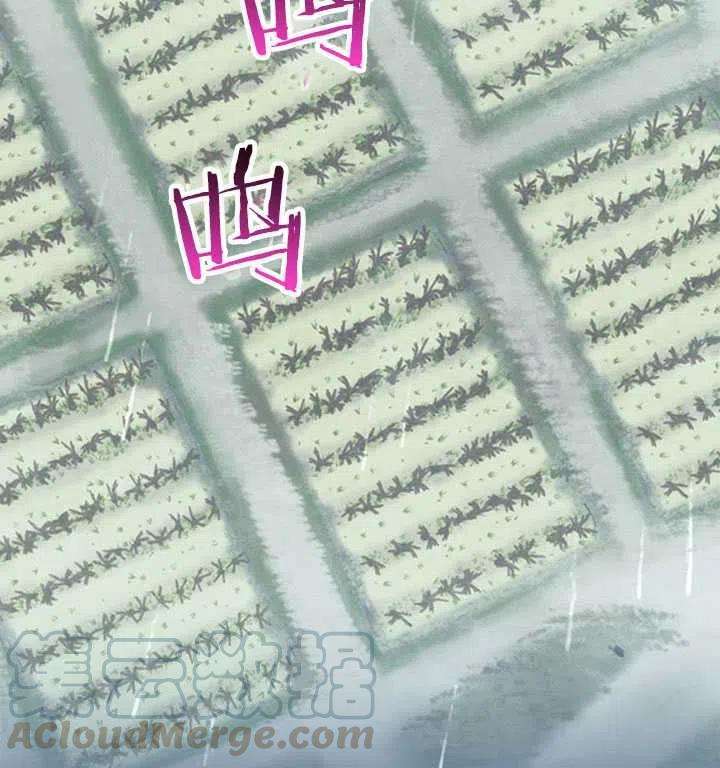 传令鸟公主殿下11话