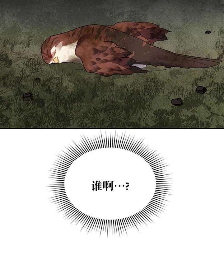 传令鸟公主殿下12话
