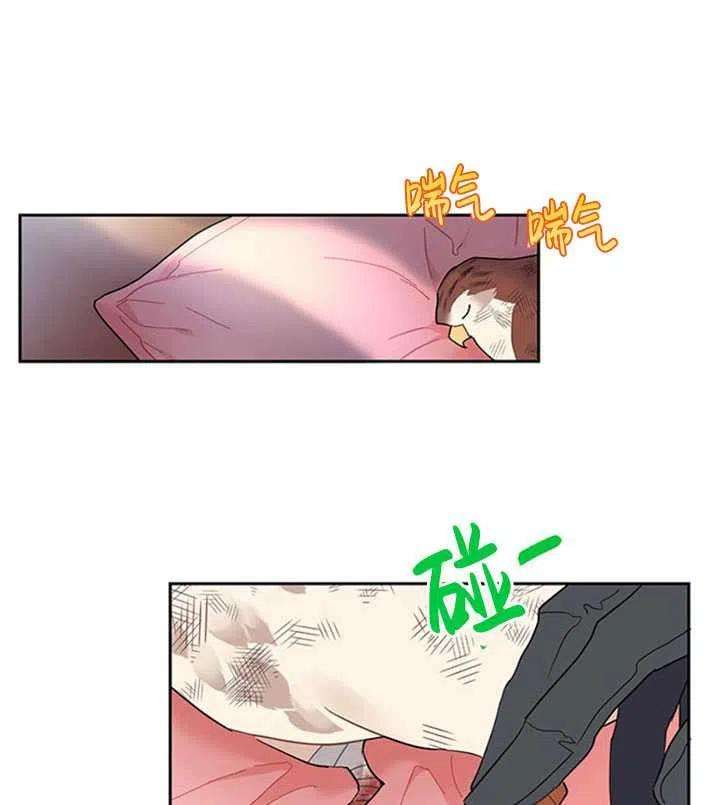 传令鸟公主殿下12话