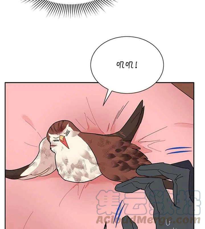 传令鸟公主殿下12话