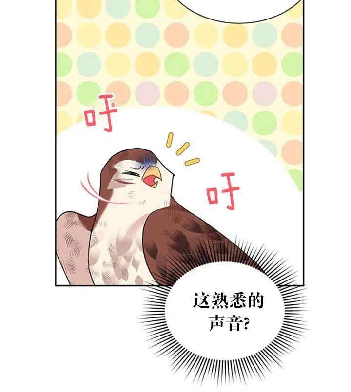 传令鸟公主殿下12话