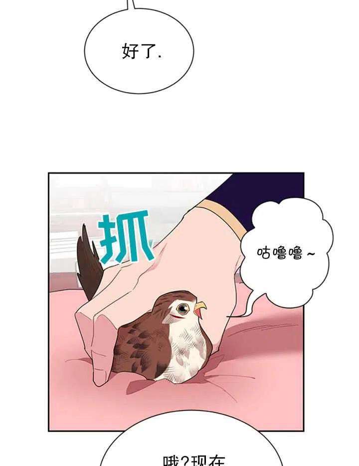 传令鸟公主殿下12话