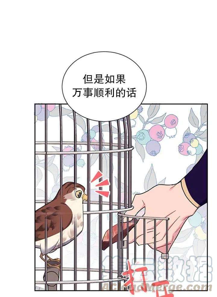 传令鸟公主殿下13话