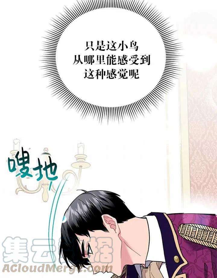 传令鸟公主殿下14话