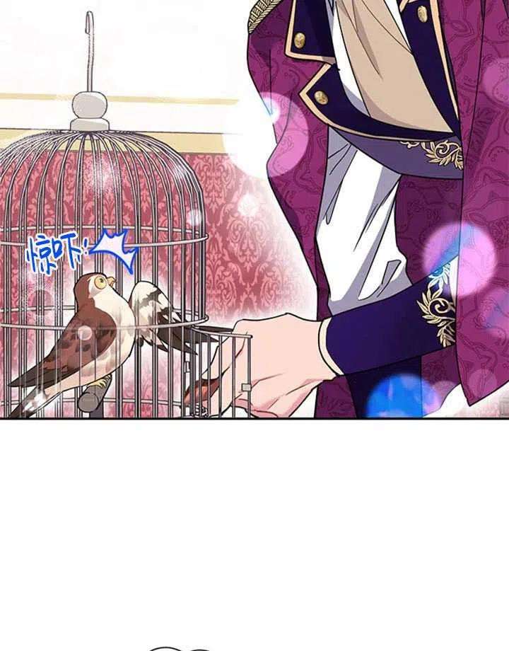 传令鸟公主殿下14话