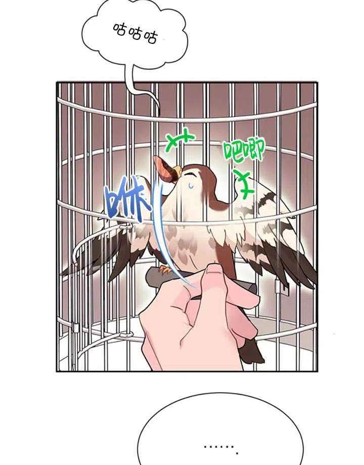 传令鸟公主殿下14话