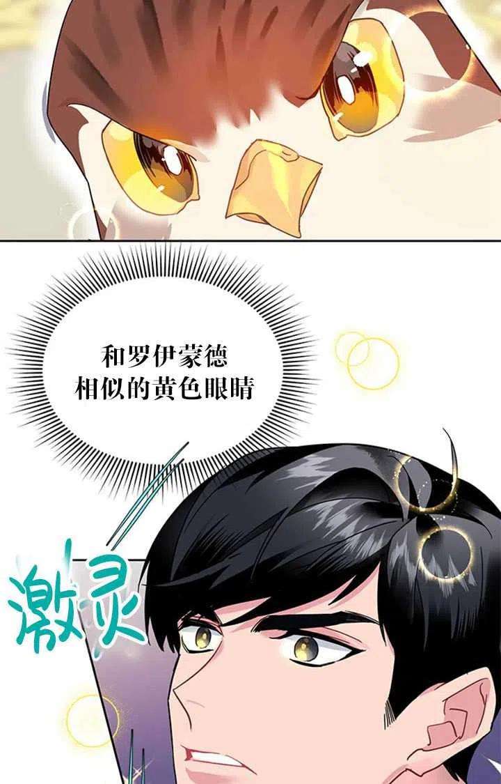 传令鸟公主殿下14话