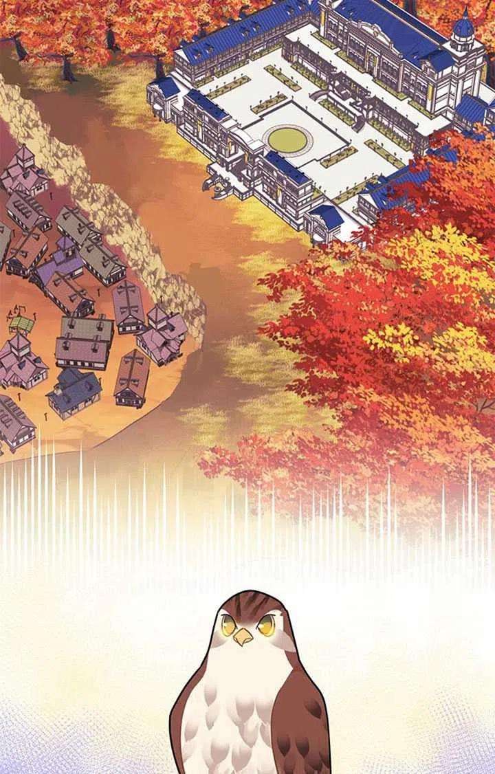 传令鸟公主殿下14话