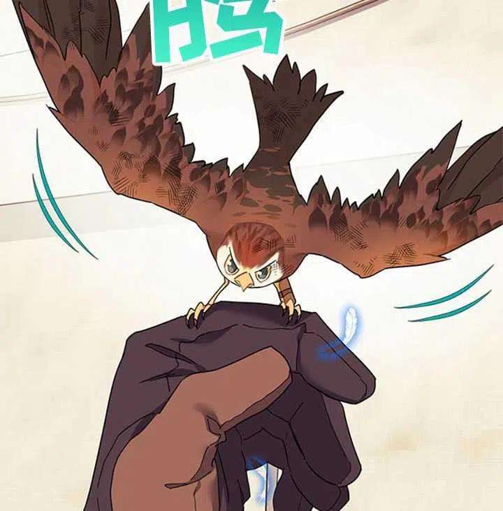 传令鸟公主殿下15话