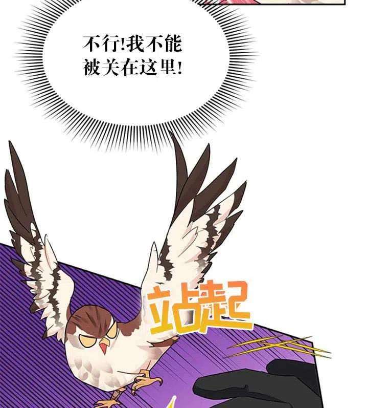 传令鸟公主殿下15话