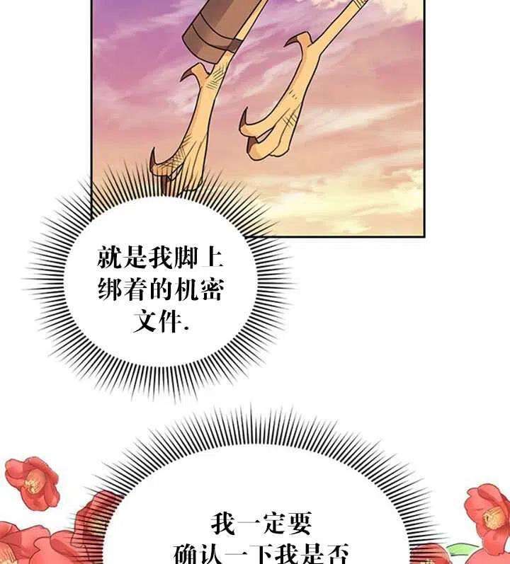 传令鸟公主殿下15话