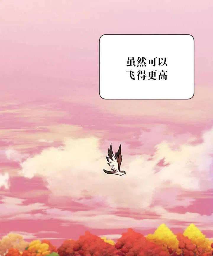 传令鸟公主殿下15话