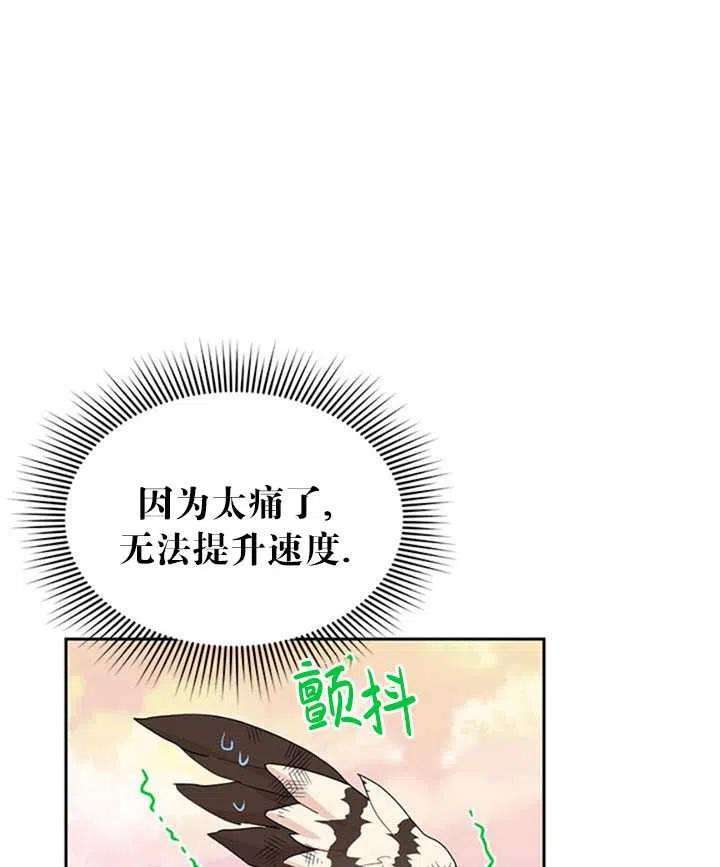 传令鸟公主殿下15话
