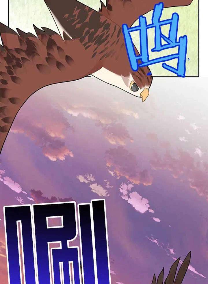 传令鸟公主殿下16话