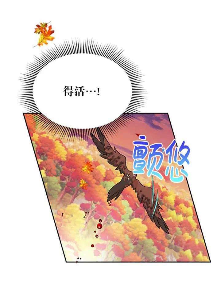 传令鸟公主殿下16话