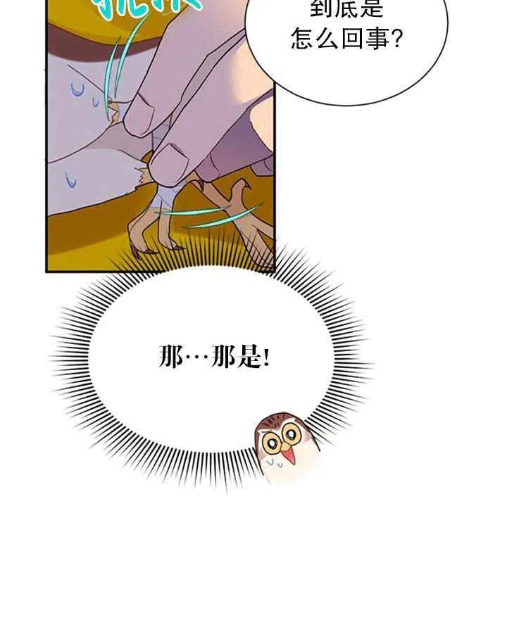 传令鸟公主殿下16话