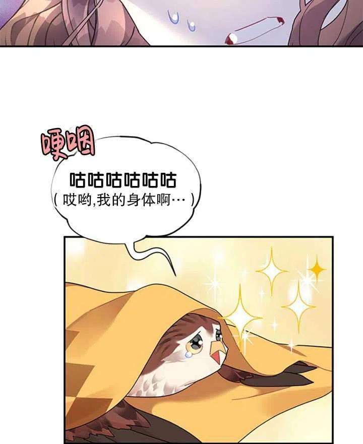 传令鸟公主殿下16话