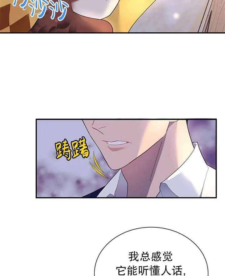 传令鸟公主殿下16话