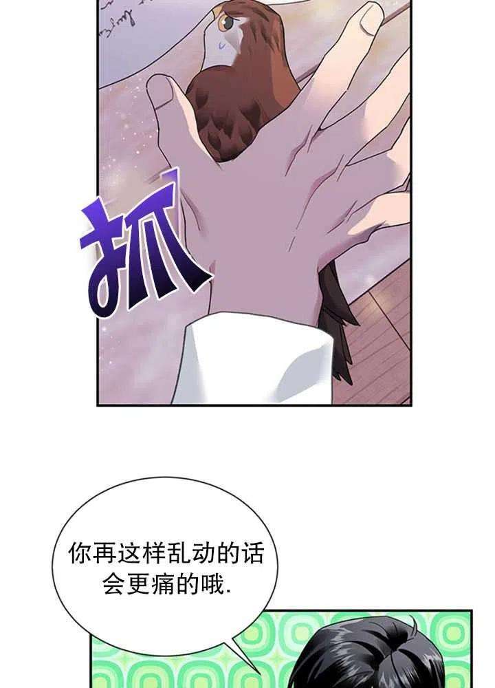 传令鸟公主殿下16话