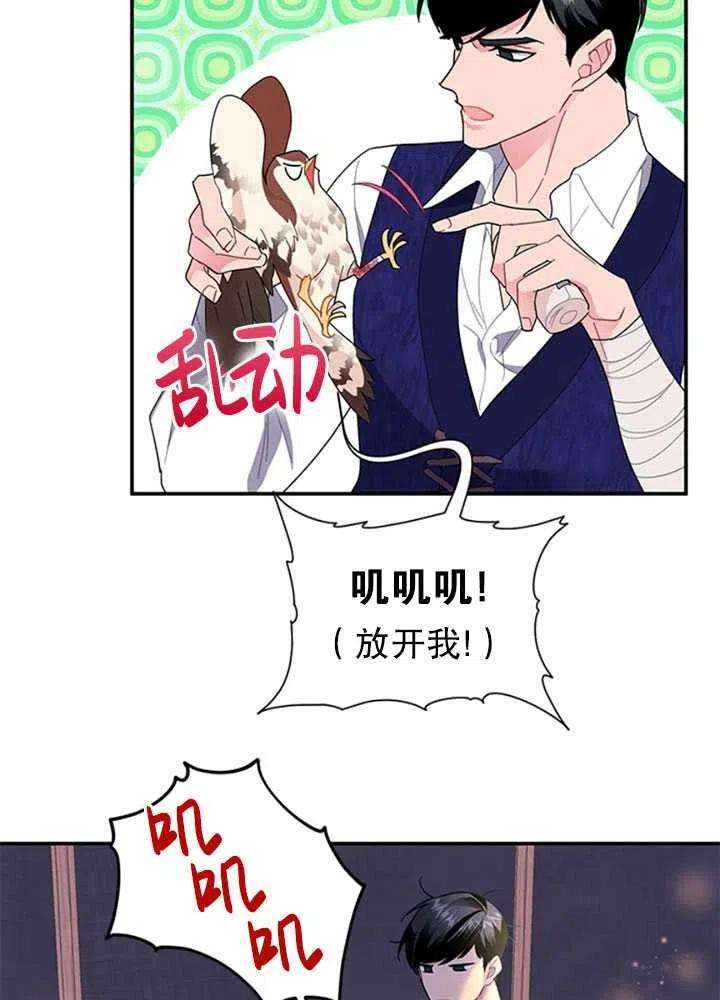 传令鸟公主殿下16话