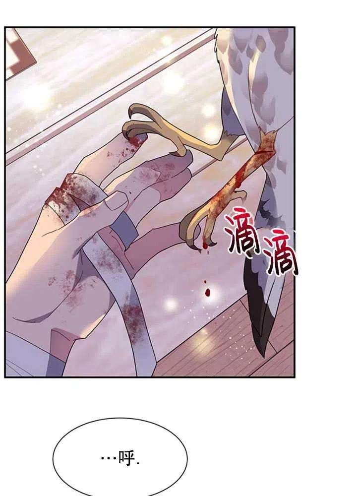 传令鸟公主殿下16话