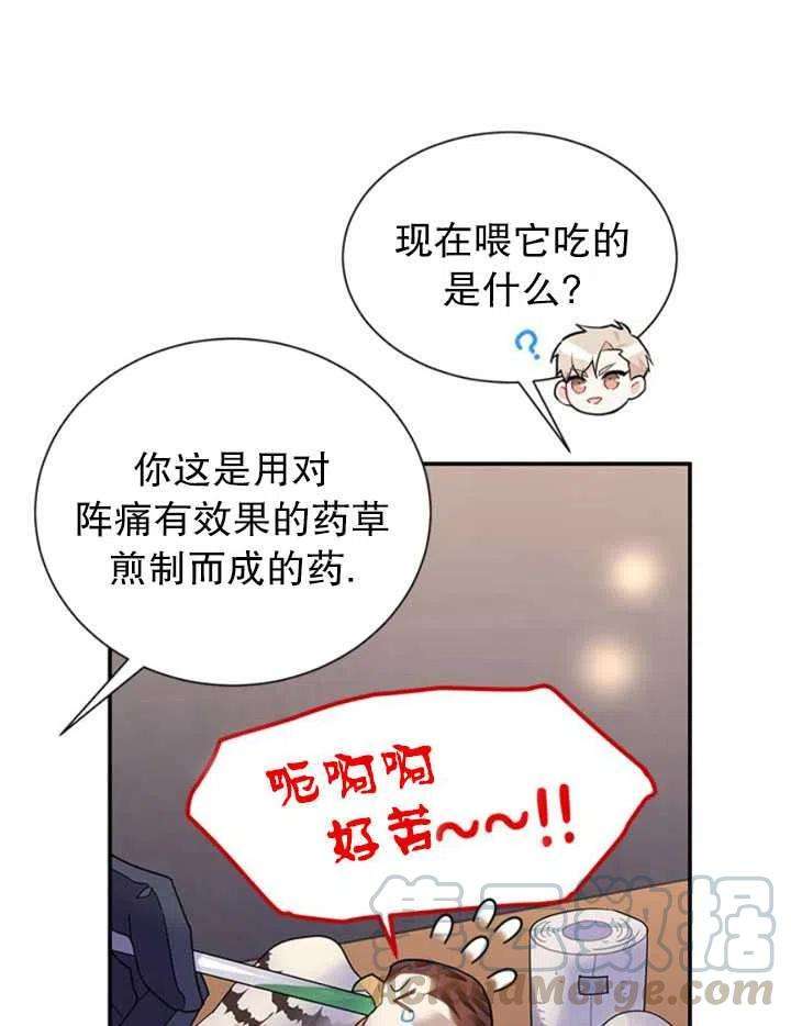 传令鸟公主殿下17话