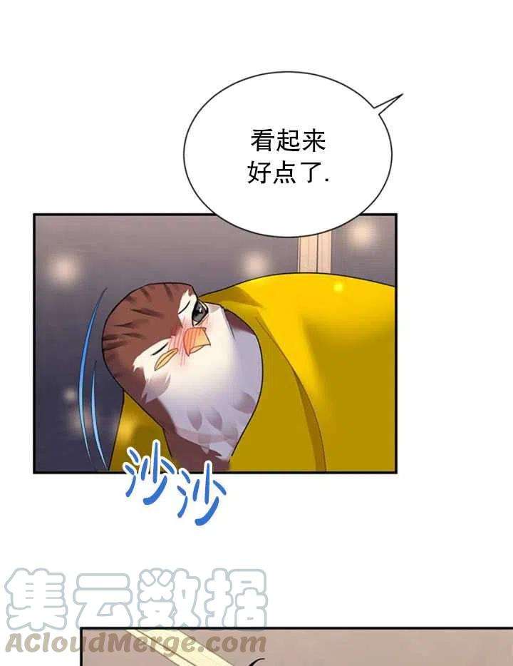 传令鸟公主殿下17话