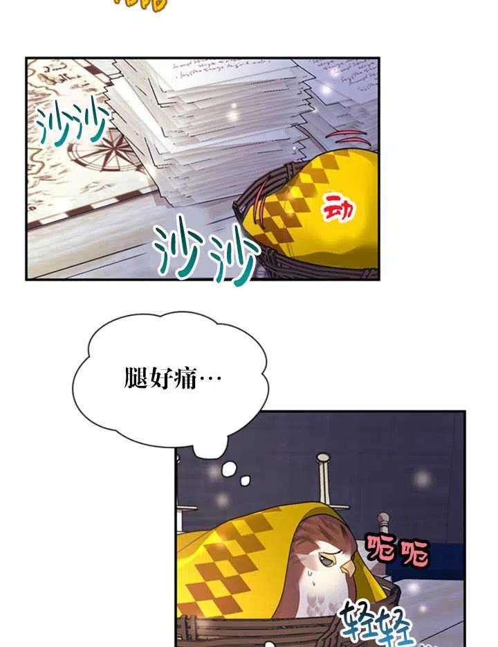 传令鸟公主殿下17话