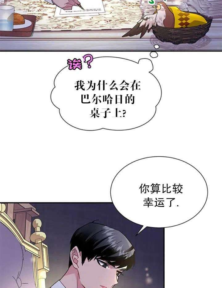 传令鸟公主殿下17话
