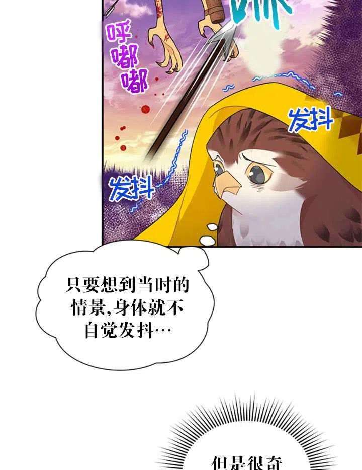 传令鸟公主殿下17话