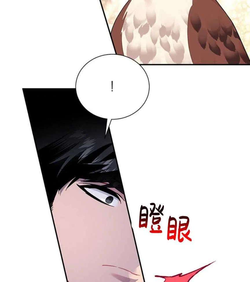 传令鸟公主殿下17话