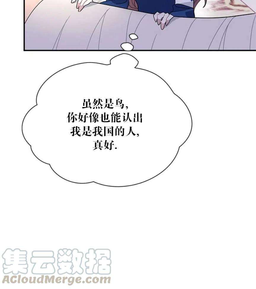 传令鸟公主殿下17话