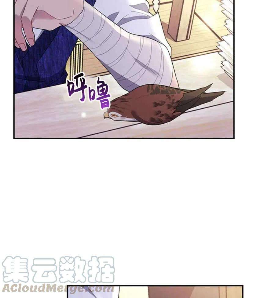 传令鸟公主殿下17话