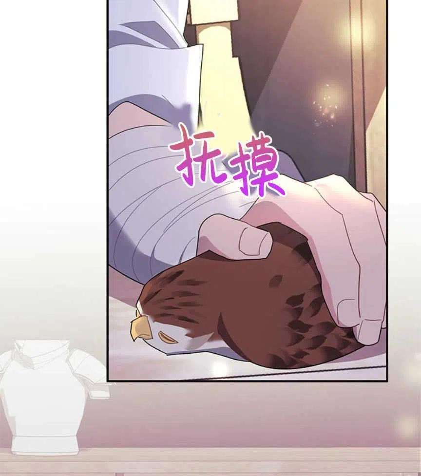 传令鸟公主殿下17话