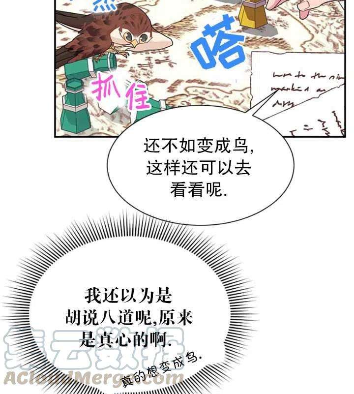 传令鸟公主殿下18话